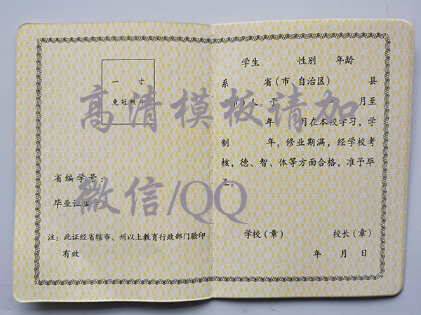 湖北省2002年高中毕业证内芯