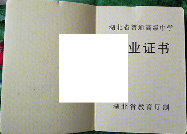 湖北省高中毕业证样本