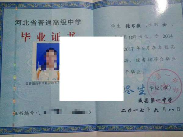 衡水市第十四中学17届毕业证